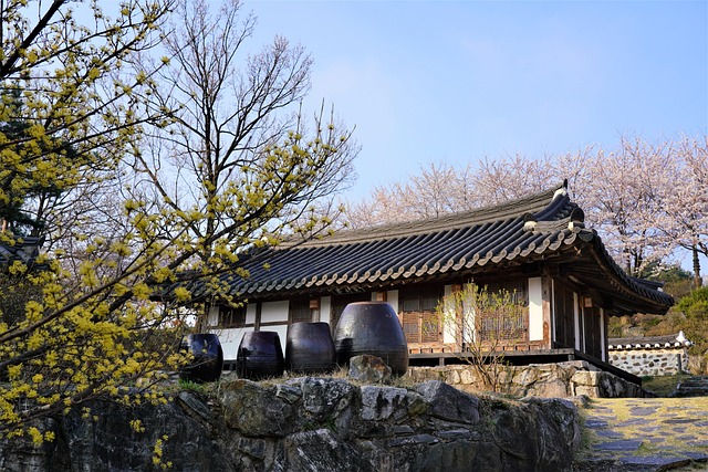 3-day Seoul beauty and skincare clinic travel itinerary - image 2