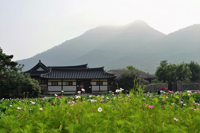 best Korean BBQ restaurants Seoul for tourists 2026 - image 2