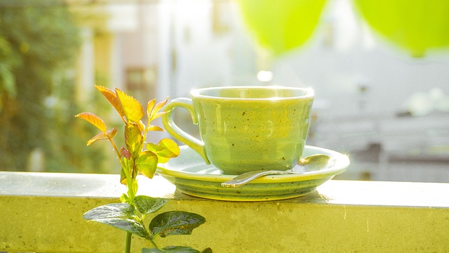 Insadong's Tea Secret: Why Seoul Locals Hide These 6 Spots