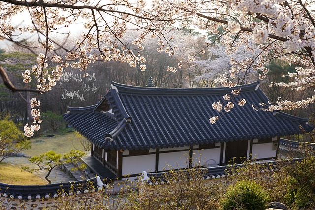 Insadong tea houses and antique markets Seoul - image 2