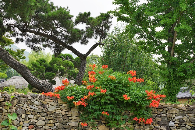 7-Day Seoul Itinerary That K-Pop Stars Actually Follow